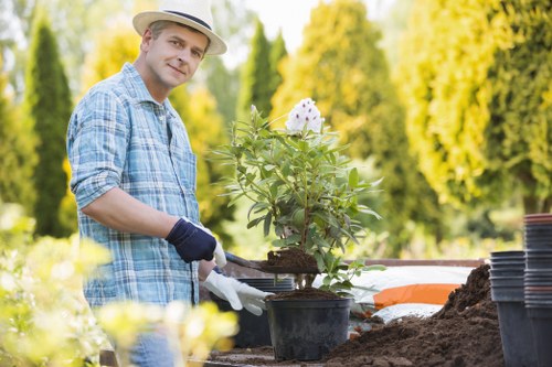 A gardener wearing a light-colored sun hat, a blue plaid shirt, and gardening gloves is working outdoors in a well-maintained garden in Mayfair, London, on a sunny day. He is planting or repotting a flowering shrub with white and purple blossoms in a black plastic pot. The garden features a neatly shaped grassy lawn in the foreground, bordered by flower beds and garden tools. In the background, there are tall, lush green trees and hedge lines that create a tidy, landscaped outdoor space typical of residential gardens in central London. The scene is illuminated by bright sunlight, with clear skies and vibrant natural tones of green, brown, and flowering plants, emphasizing the importance of professional gardening services like hedge trimming and lawn care often required in properties within postcode W1K. The gardener’s activity suggests attention to outdoor maintenance, supporting local gardening and landscaping services such as those provided by Hedge Trimming Mayfair, ensuring aesthetic and functional outdoor environments.